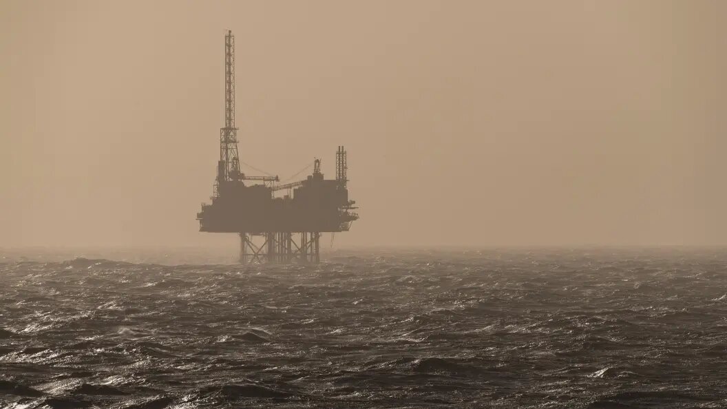    Фото: Olaf Krüger/imageBROKER.com/Globallookpress