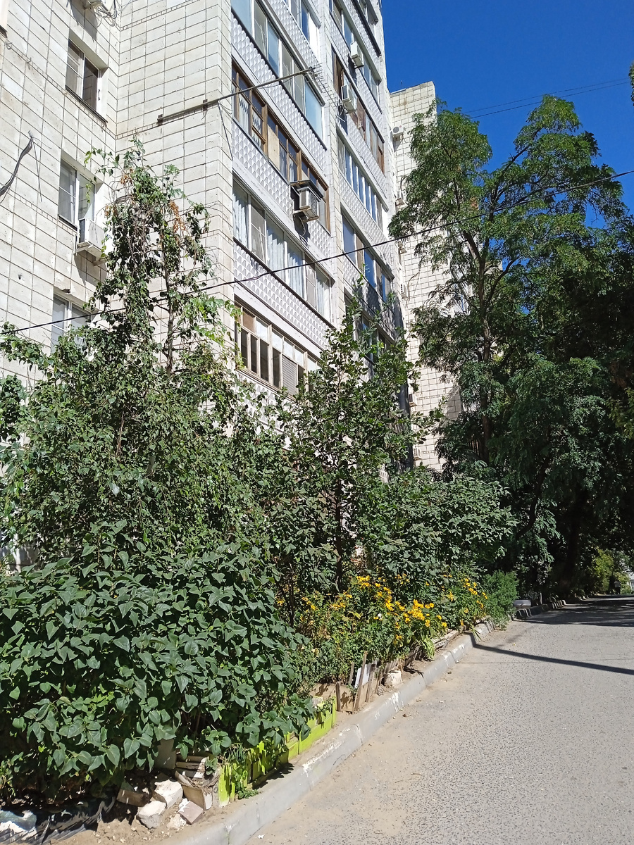 6 сентября 2024. Еду на Тулака искать стоматологическую поликлинику