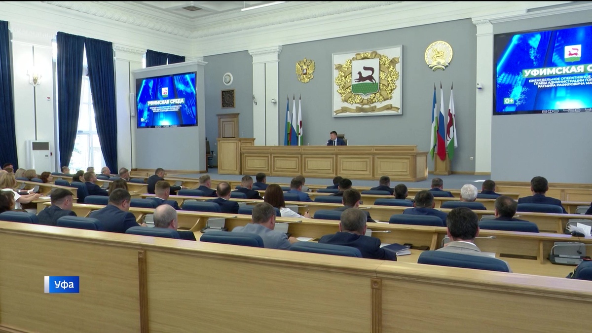    Новые электрозаправки в Уфе, арочный мост через Белую, бродячие животные - «что еще обсудили в мэрии»