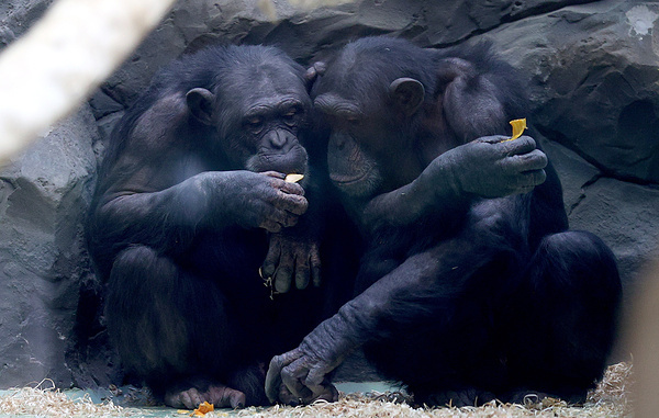 Егор Алеев/ТАСС
