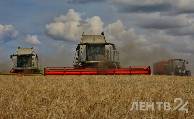    © Анастасия Илюшина / ЛенТВ24, архивное фото