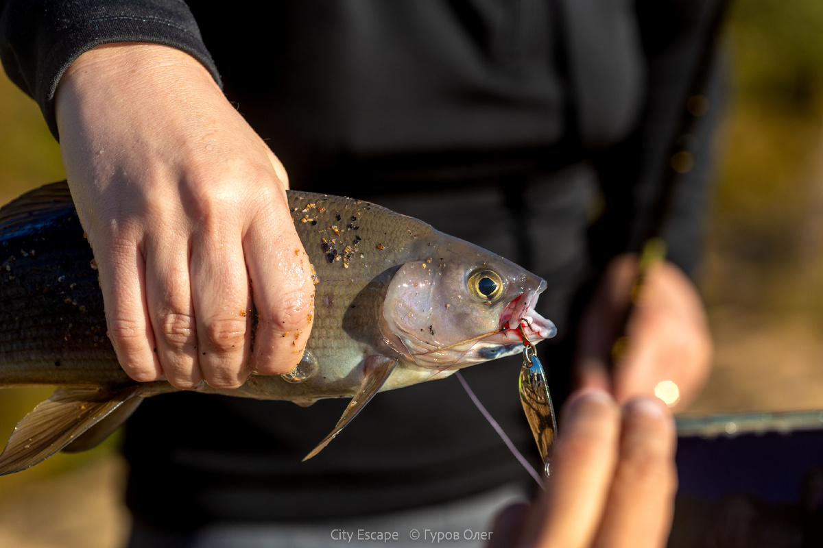 Фото: Олег Гуров / City Escape 
