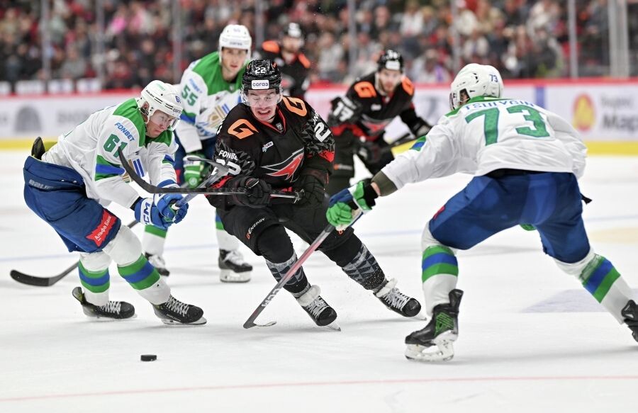     / Источник: © Алексей Мальгавко/РИА Новости