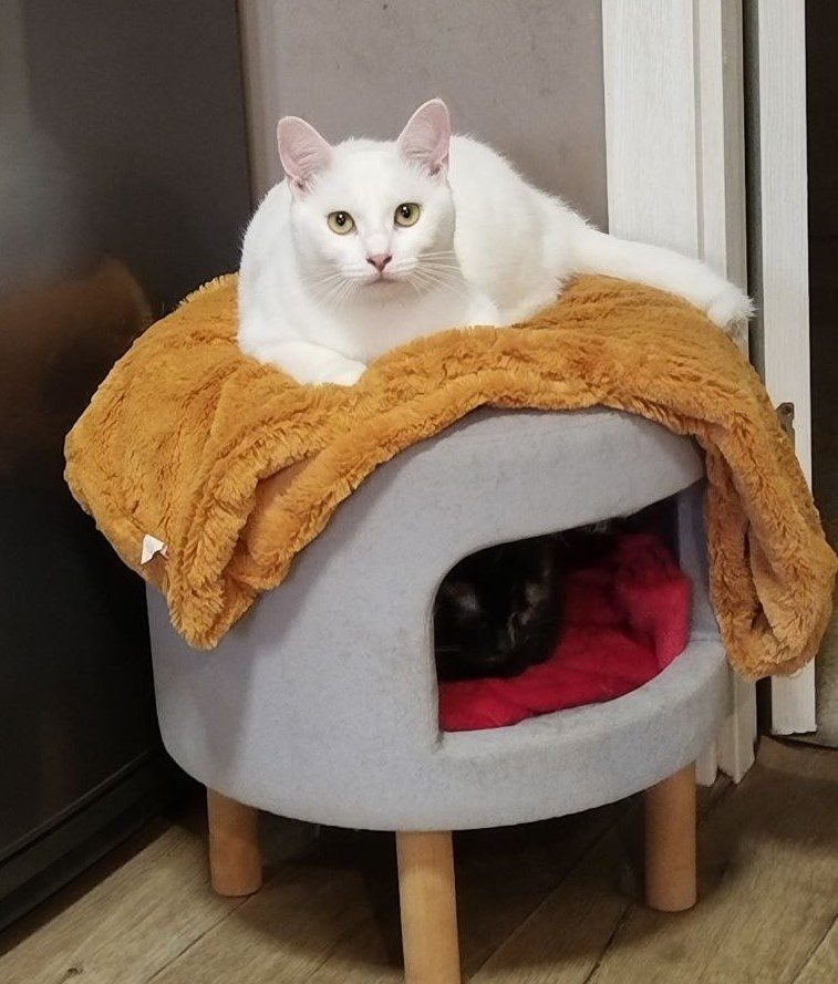 Мне проверенных людей, пожалуйста