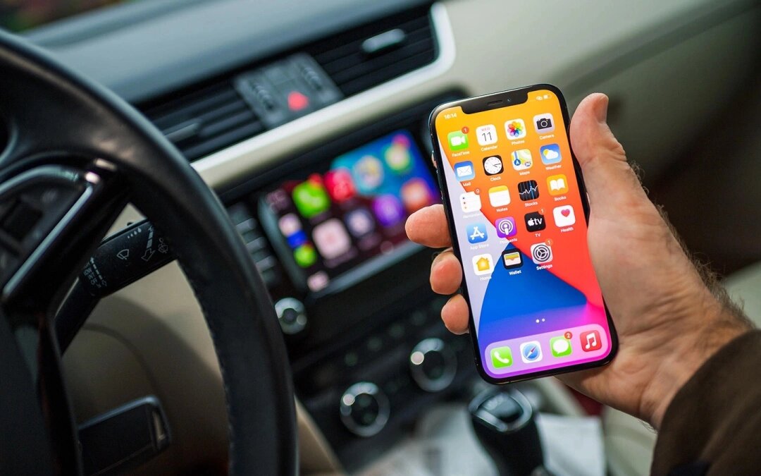 Фото: Hadrian / Shutterstock / FOTODOM