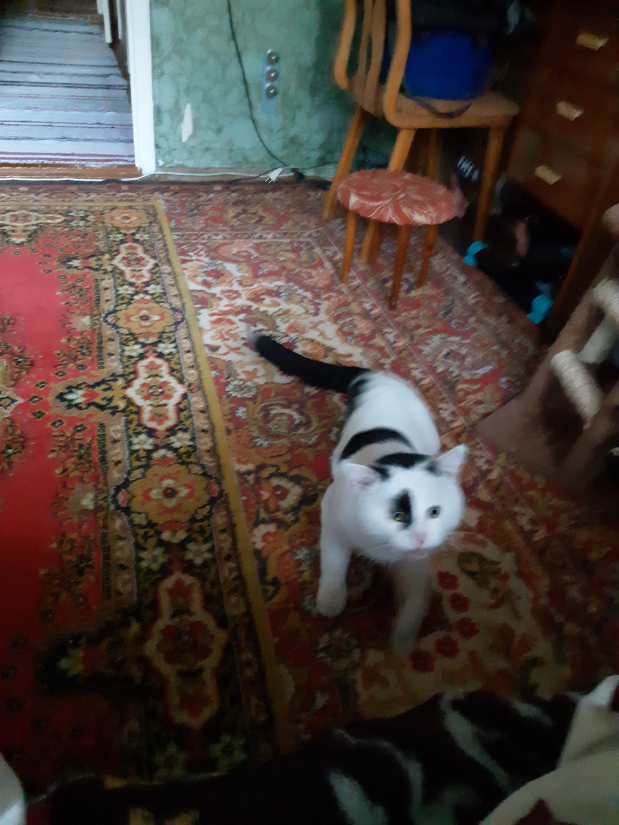 Массаж время делать, курсом