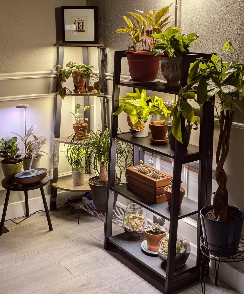 Правильная досветка растений