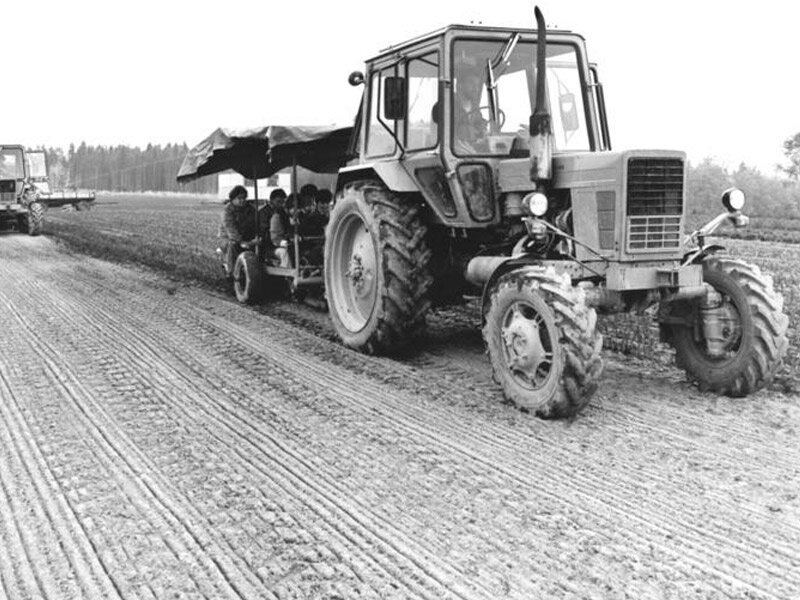 Фото с Яндекс картинки