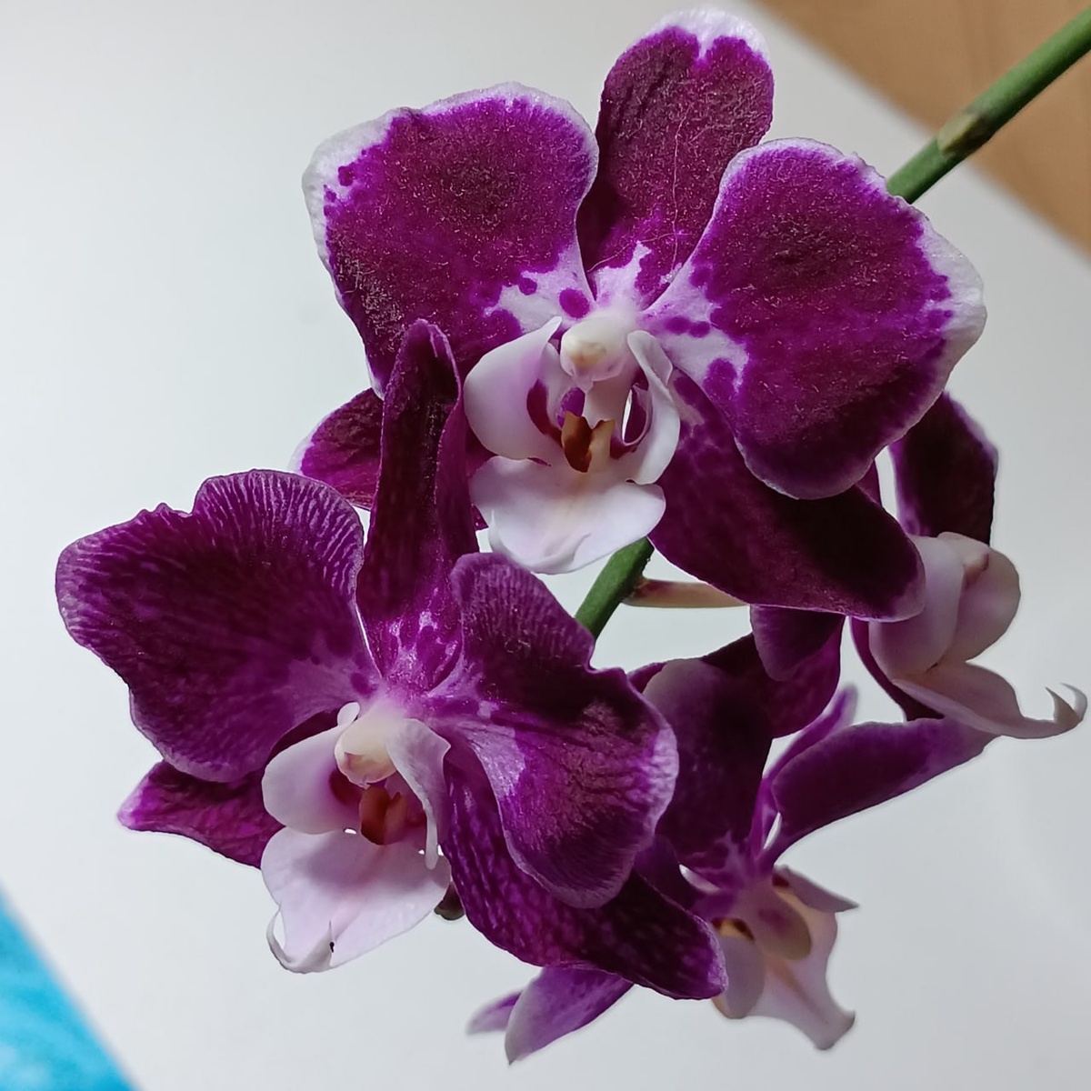 Обложка статьи