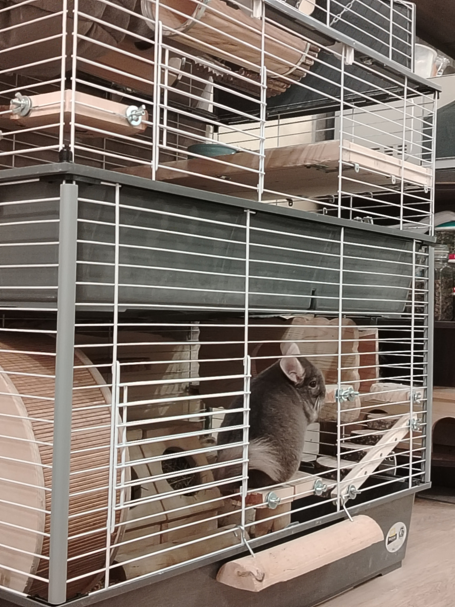 Клетка Шустрика и Финика. Пластиковые полки и домик были заменены на деревянные