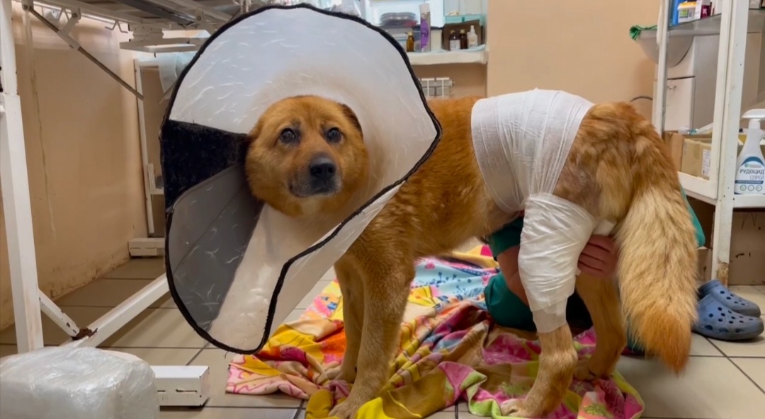 Перенесла сложную операцию с пластикой кожного лоскута в области коленного сустава 