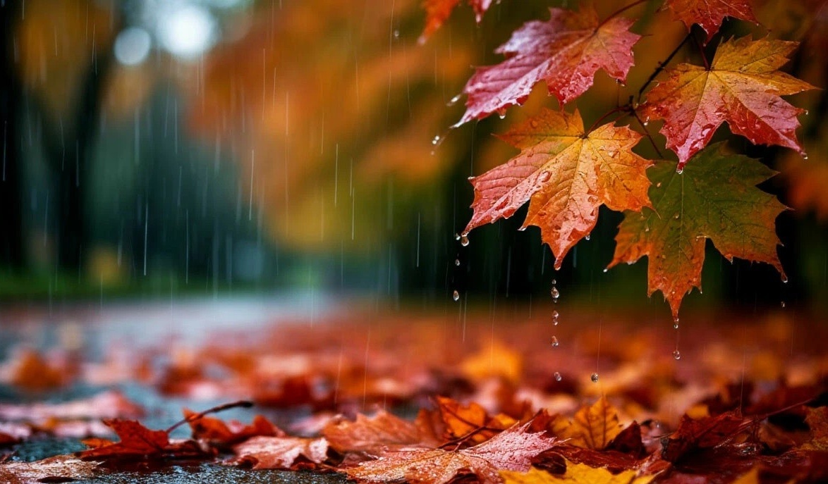 Просто картинка для обложки 