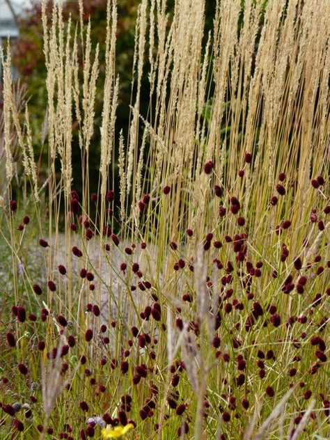 Источник: ru.pinterest.com