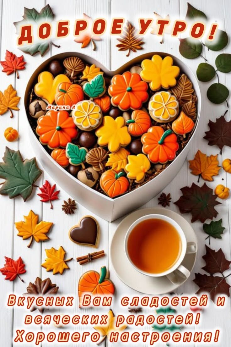 Фото из открытого источника в интернете.