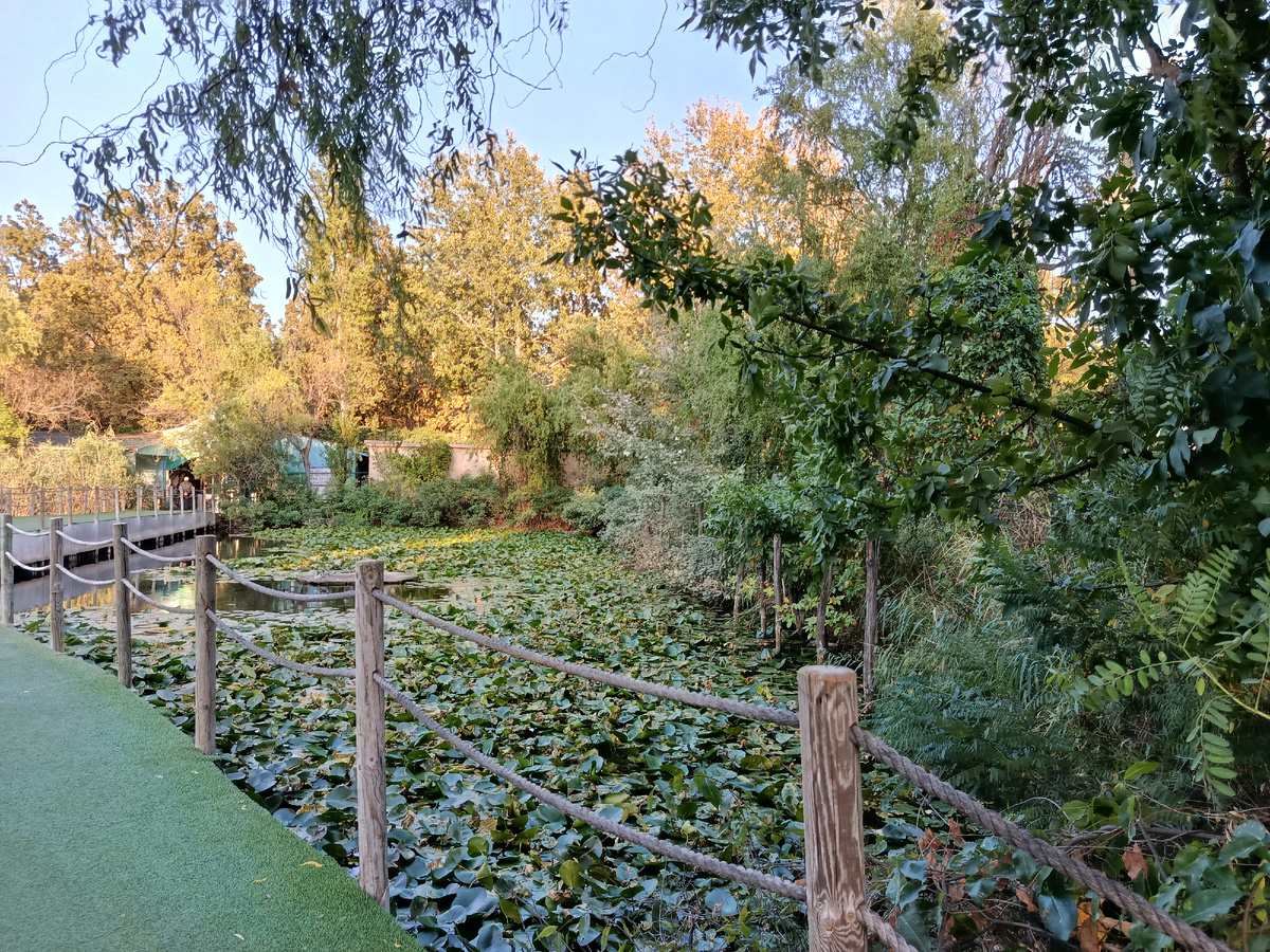 Сентябрьский день.