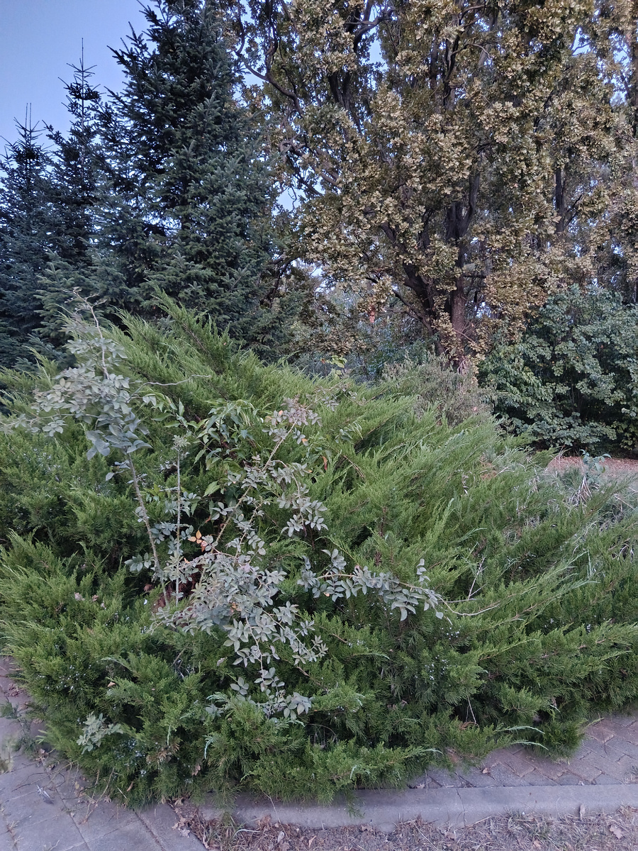 Природная красота.