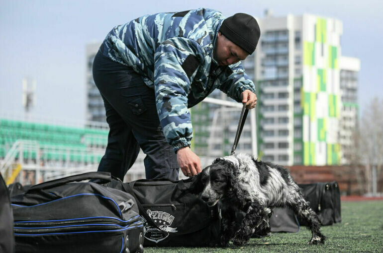   Александр Кряжев/РИА Новости