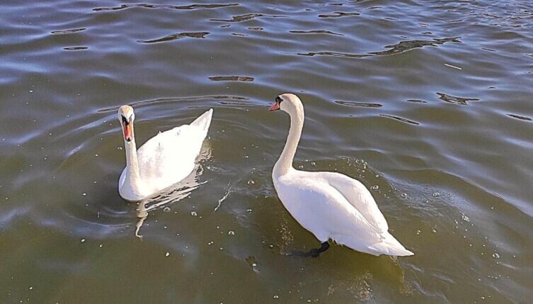     Фото: Анна Табаева, личный архив