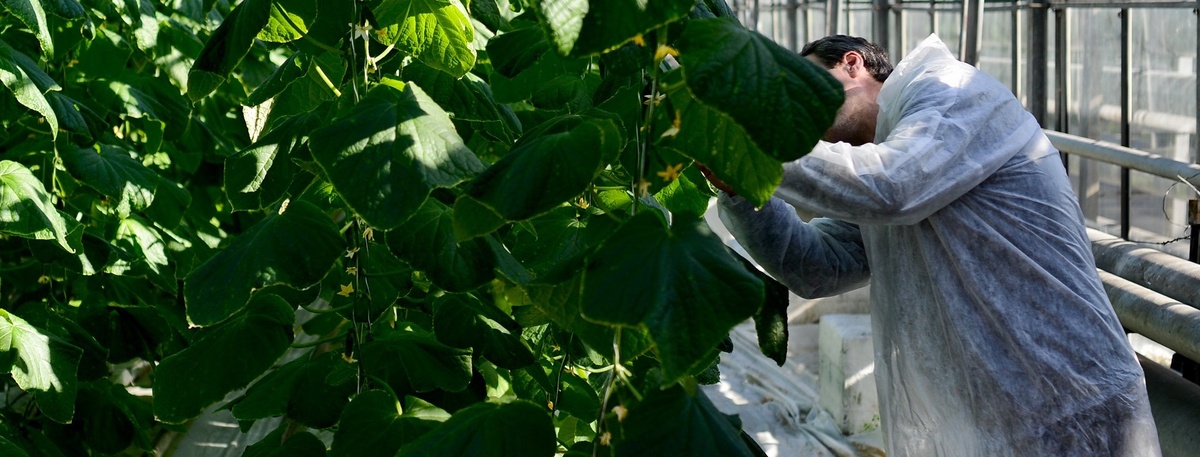    Автор фото: Сергей Ермохин / "ДП"