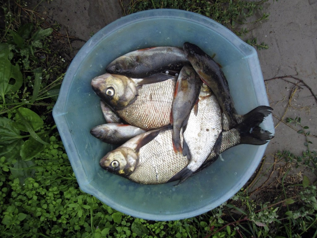 Да-да-да, при неблагоприятных раскладах, даже за такой улов можно прилипнуть на деньги...