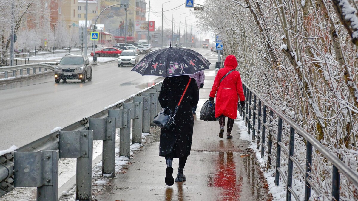    Фото: Андрей Ткачев / «Ямал-Медиа»