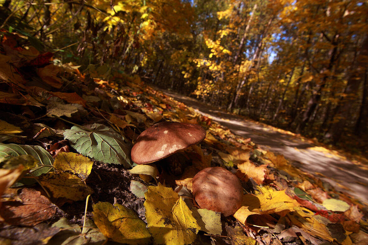 Фото: © Михаил Захаров / «Татар-информ»
