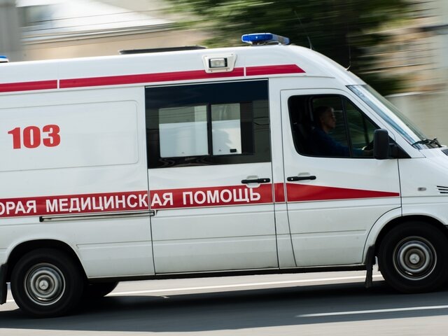    Фото: Москва 24/Игорь Иванко