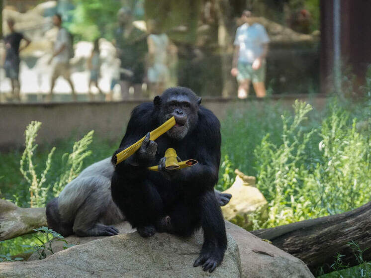     © David Zorrakino/Keystone Press Agency/Global Look Press