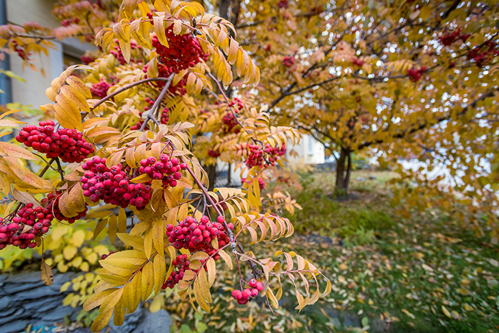    Фото Андрея Заржецкого