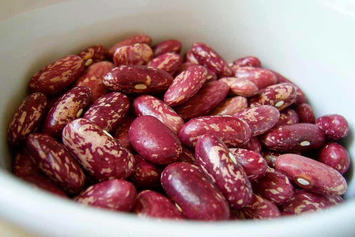 Фасоль красная.Историки и ботаники сходятся во мнении, что родиной красной фасоли, как и большинства других видов фасоли, является Центральная и Южная Америка. 