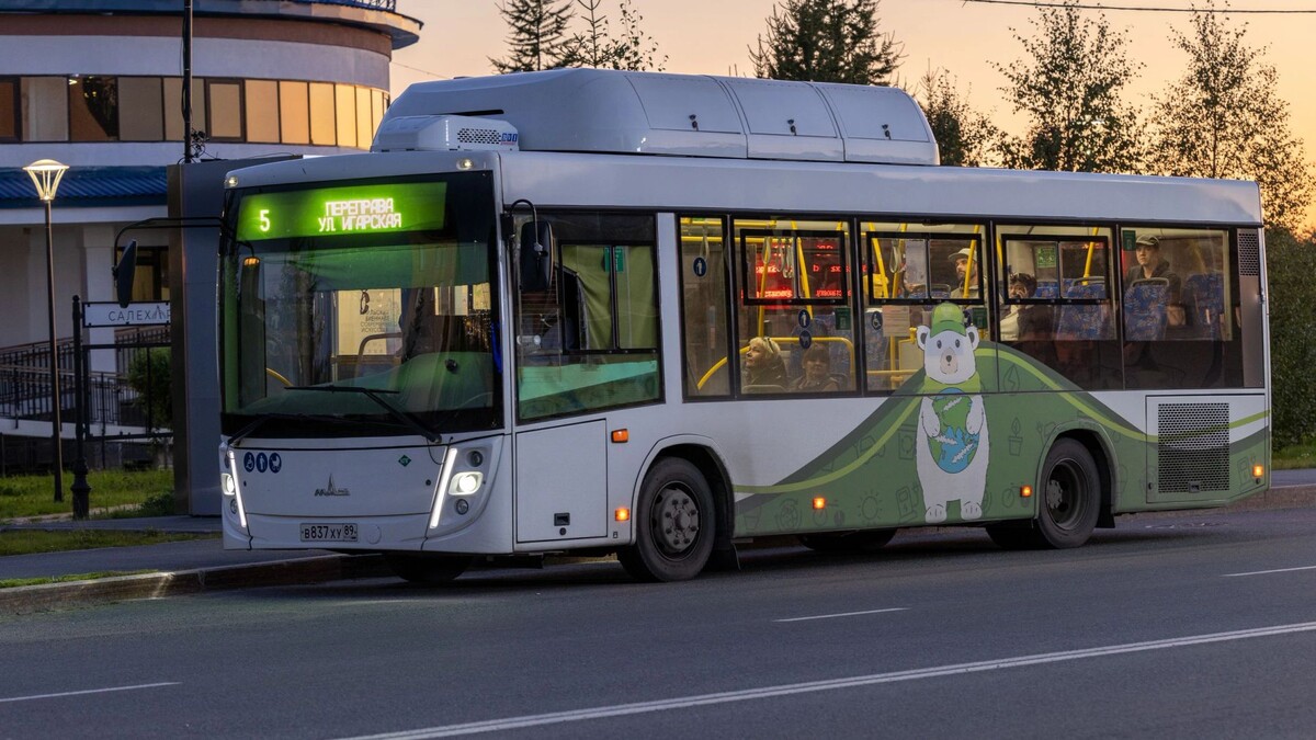    Фото: Федор Воронов / «Ямал-Медиа»