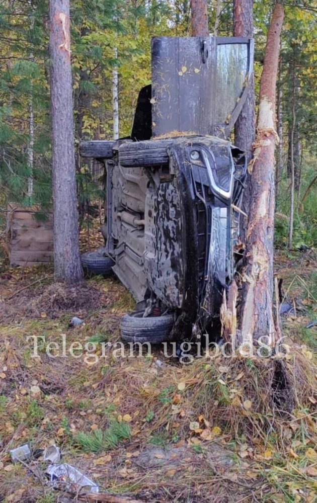    Трагические выходные