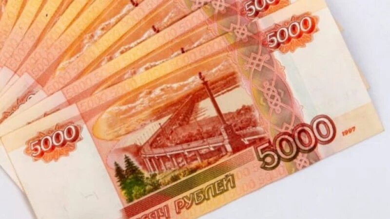     Деньги. Купюры. Фото: Анна Зайкова.