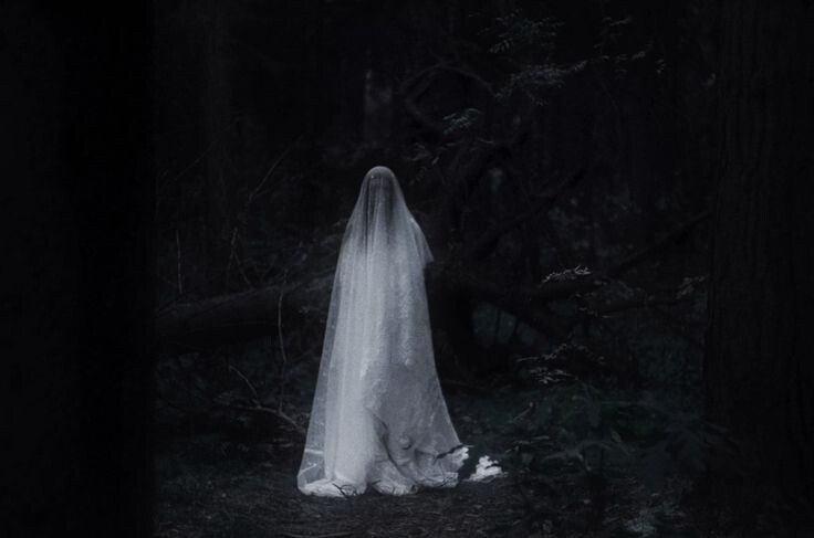 Изображение взято из открытых источников интернета. 