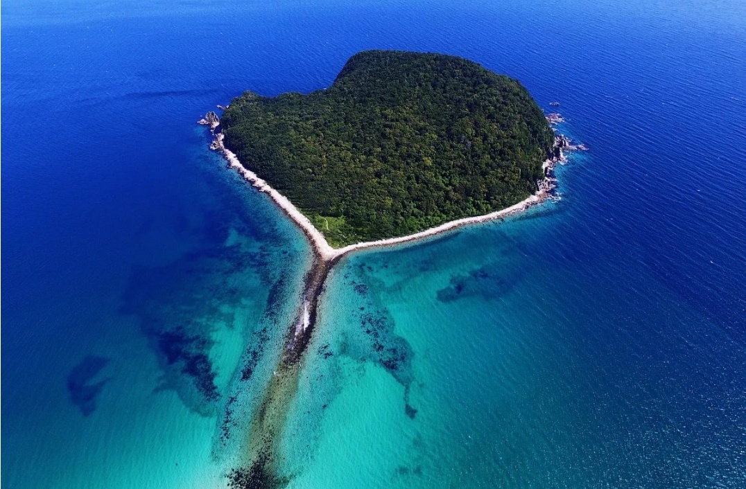 фото из свободных источников 