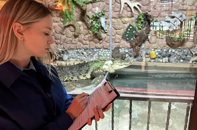 Елизовская городская прокуратура