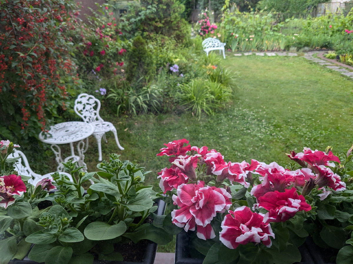 "Сидячие места" моего сада - вид из окна на лестничной площадке