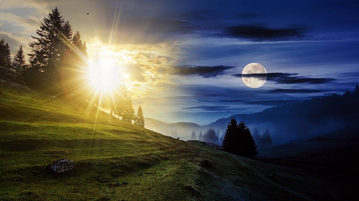    Фото: Shutterstock