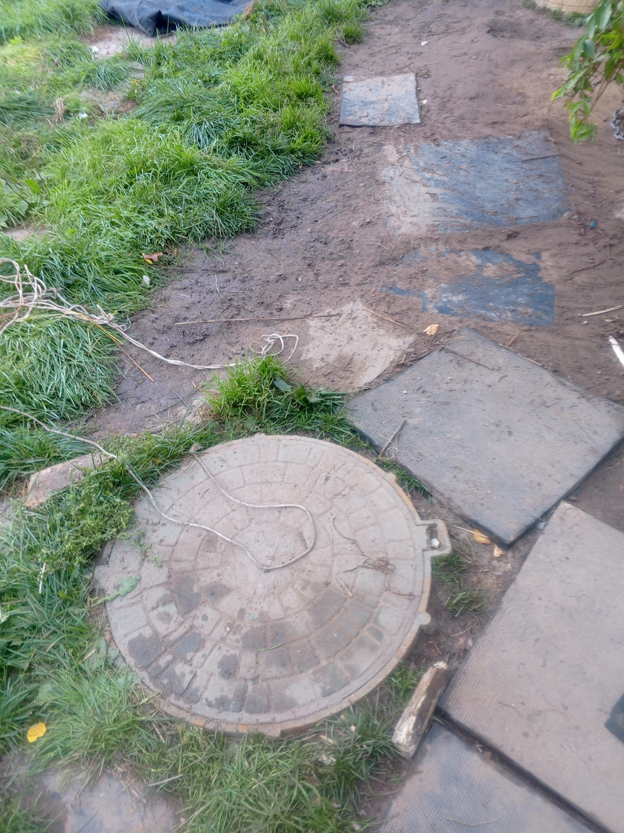 ЗемЛя еще не впитала всю влагу хотя на улице солнце и ветерок, все сохнет быстро