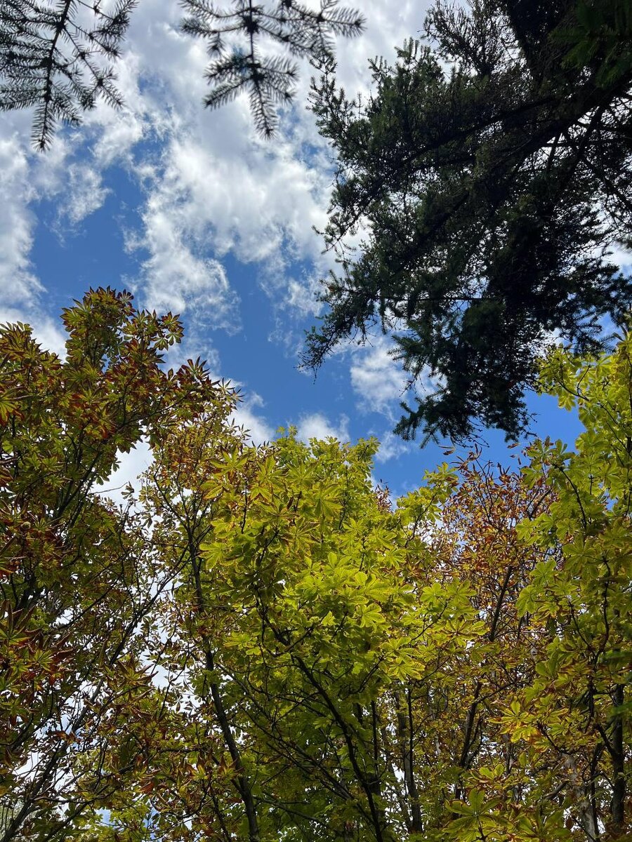 Фото из Белгорода. Сентябрь. 2025