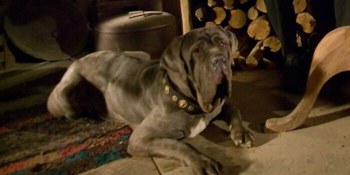 кадр из фильма