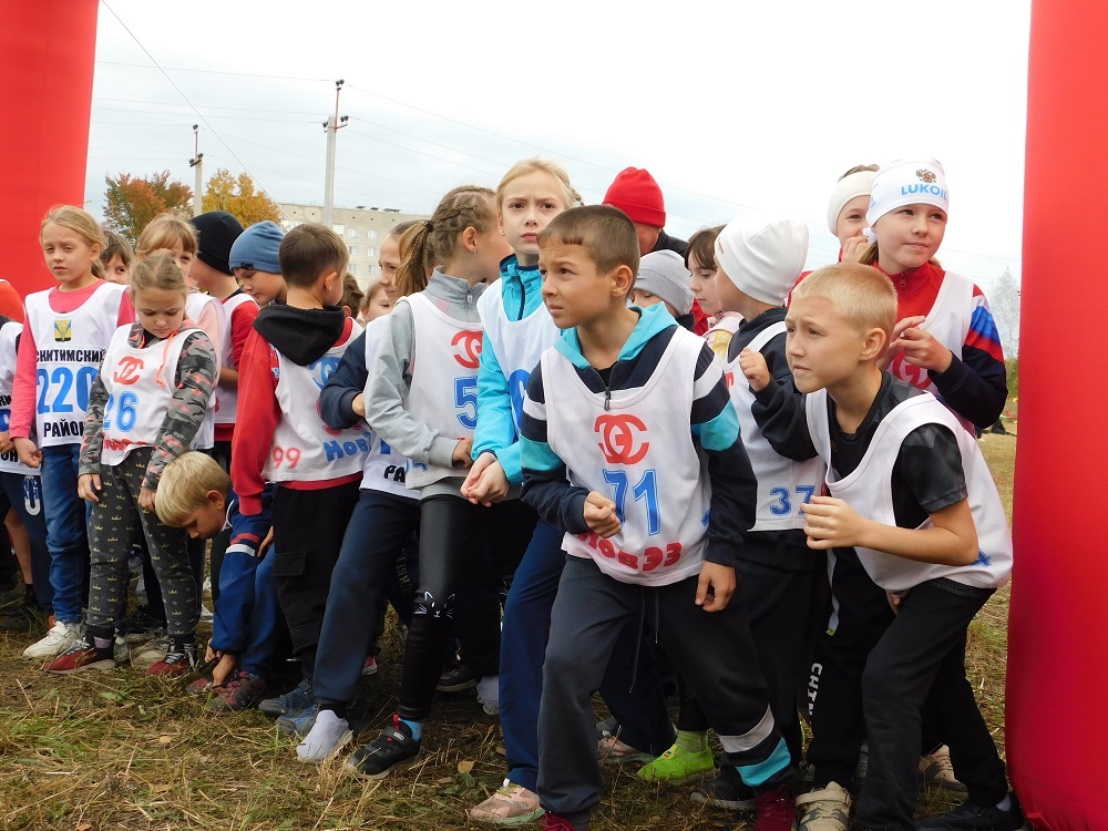    "Кросс нации" в 2024 году. Фото из архива редакции.