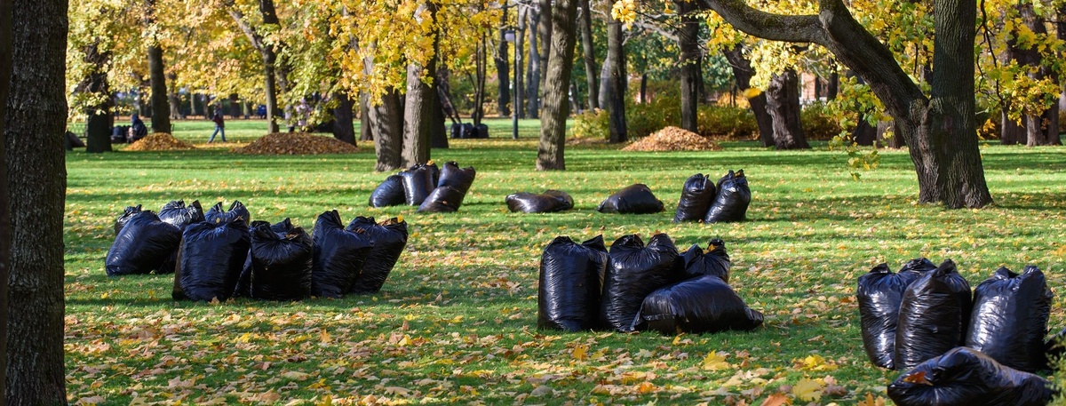    Автор фото: Сергей Ермохин / "ДП"