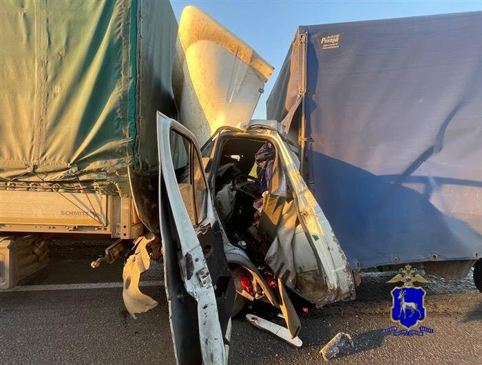    ФОТО: ГУ МВД по Самарской области