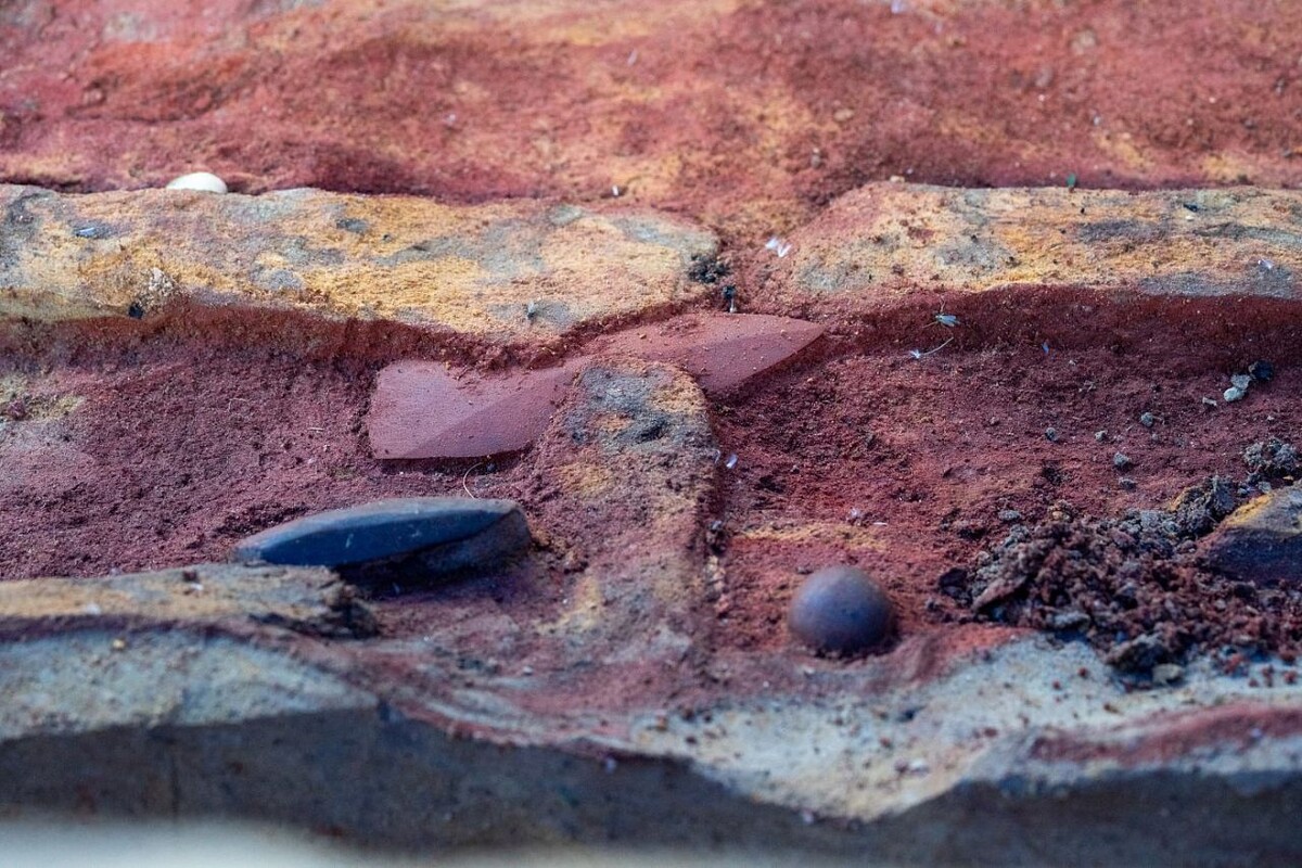    Древнее орудие охоты?