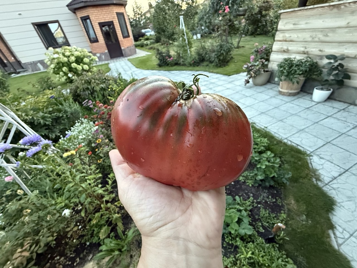 Фото автора