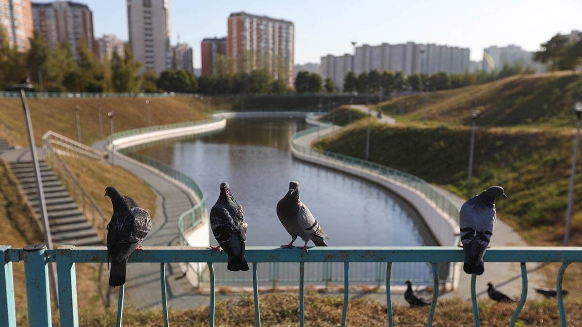    Фото: Артур Новосильцев / АГН Москва