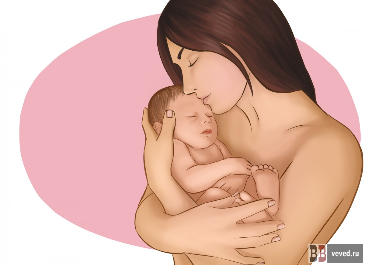     Иллюстрация: Юлия Медведева / Вечерние ведомости