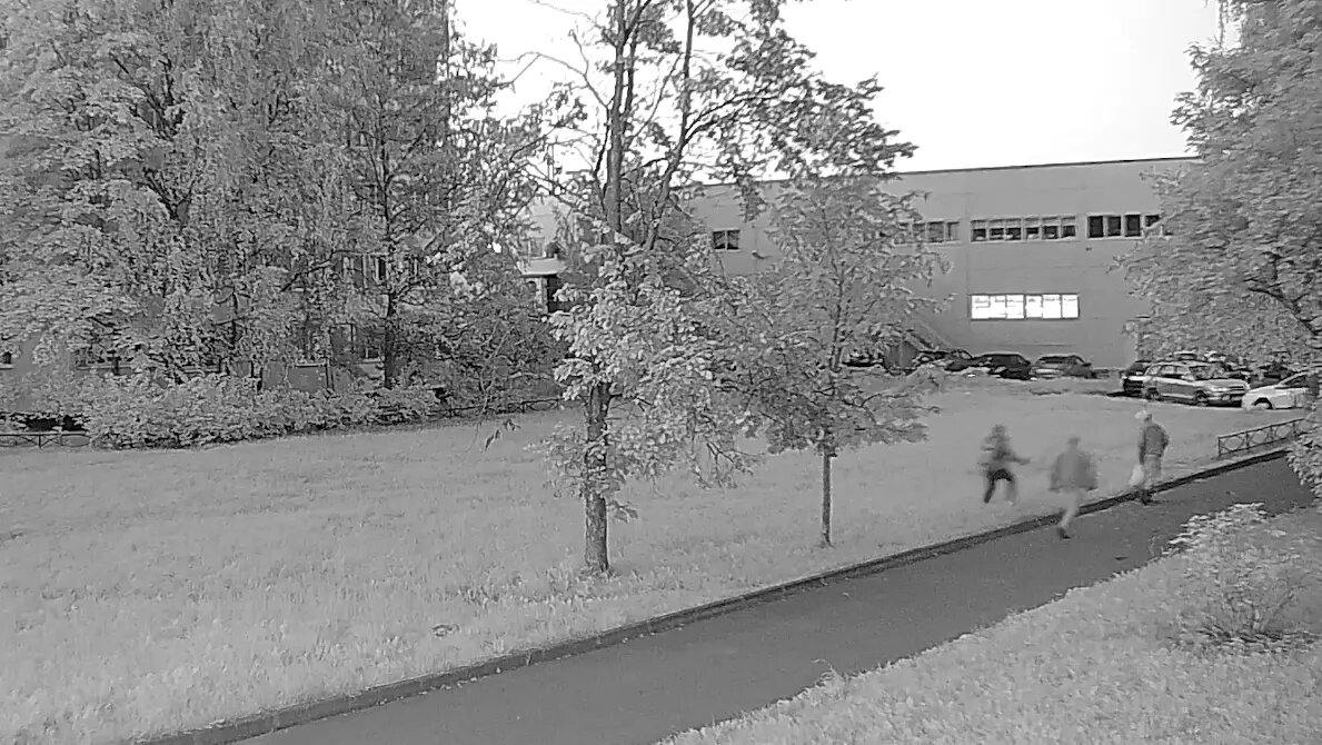    Фото: кадр видео ЦОС ФСБ РФ