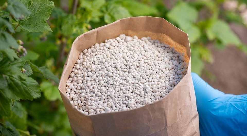 Внесение NPK осенью в огород: улучшаем урожай на следующий год